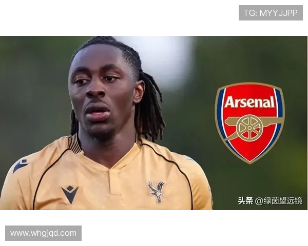 热刺已通知水晶宫将豪掷6300万英镑引进核心球员埃泽