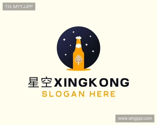 了解xingkong官网